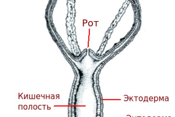 Кракен сайт 13at