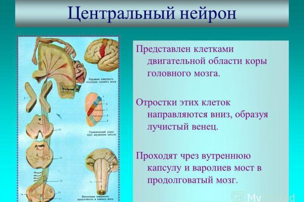 Кракен сайт маркет