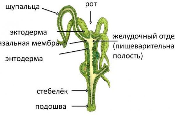 Найдется все кракен